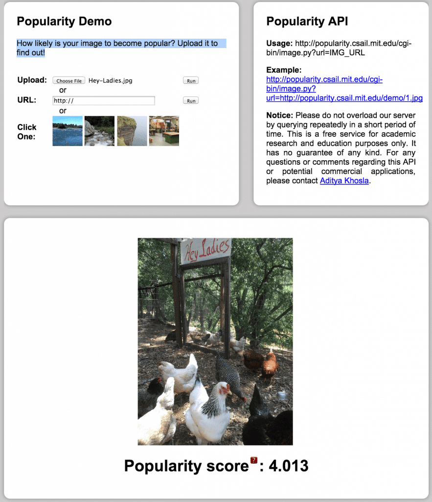 Grow Instagram Followers: Instagram Popularity Demo