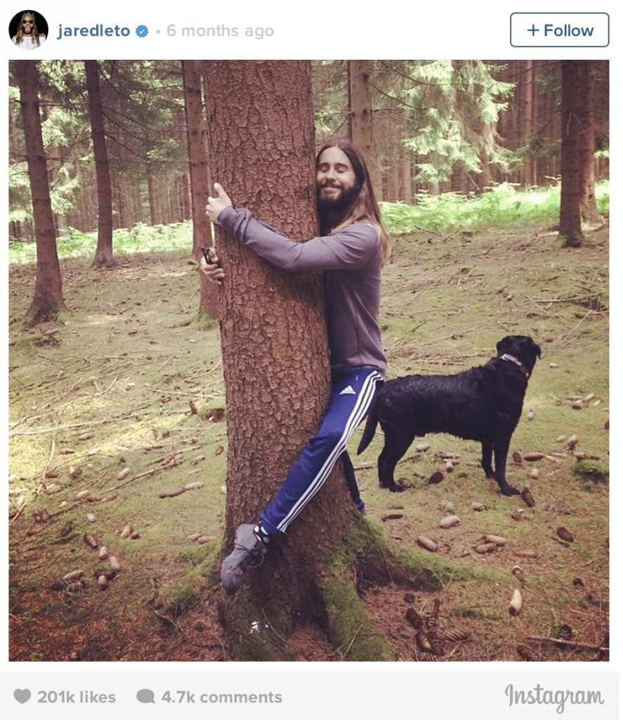 Jared Leto hugging tree meme