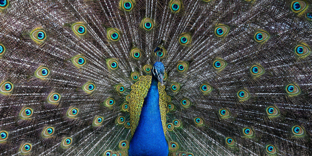 3 Twitter Analytics Reports That Will Make You Tweet Better