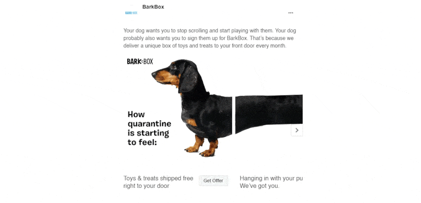 BarkBox Instagram carousel ad featuring a dachshund stretched across multiple cards with playful copy about quarantine. Great example of Organic vs Paid Instagram Carousels.